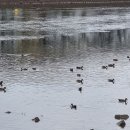 승주약국 이미지