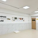 펌킨 펫하우스 청담 이미지