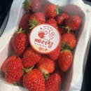 힐 | 당진 딸기농장 베리힐 후기 | 당진 딸기 직매장 설향·킹스베리 구매