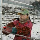 박정자농장 이미지