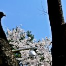 성어공원 이미지