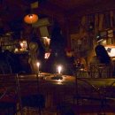 까페나무 이미지