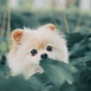 방주동물병원 이미지