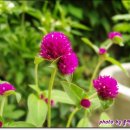 산천낚시터 이미지