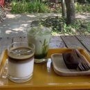 산초리니