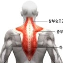 디오앤