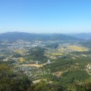 덕평육교