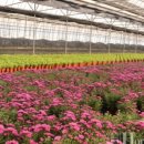 학표농자재 이미지