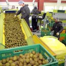 (주)골드브릭스 이미지