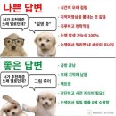 상우고등학교 | 나는지금,꿈을꾸고있는거야 눈을 뜨면 나는 아직 12세