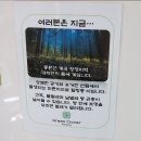 중원계곡 펜션 양평 펜션 양평 그린클로버 수영장도 있네
