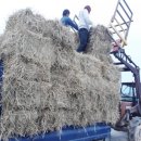 볏짚농장 이미지