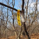 01-59 동구 Daum카페