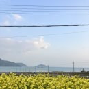 세븐일레븐꽃마을점 이미지