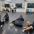 태평미트 이미지