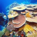 아름다운 머뭄 이미지