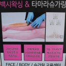 백시왁싱