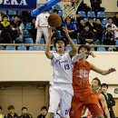 박성근 카카오 검색결과