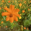 구례군청소년수련원 이미지