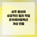 상주 옴브레 성공적인 컬러 작업 은우헤어컬렉션 개성 연출