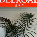 딜로드