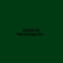 강*일 - 안양시 동안구 관평로 338 | 강*일