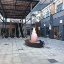 코오롱애견 이미지