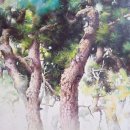 흑과백미술학원 | 지친 하루 끝, 청주성인미술학원에서 만나는 연필 끝의 온기