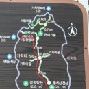 { 125차 }2024년 04월 20일 진도 동석산 버스좌석표 이미지