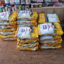 멍멍이랑 호호아줌마 이미지