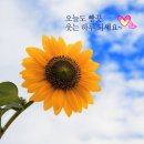 최고리더 800 기 9 월 22 일 출부(상식 뒤집는 장수 비결) 이미지