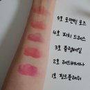 클리오) 여사친/여자친구 크리스마스 선물로 클리오 루즈힐 다이아 립스틱 레오파드 에디션