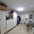 대구안일초등학교 이미지