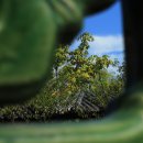 효원공원 이미지