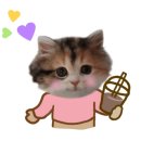 퐁당 아쿠아 카페 네이버블로그