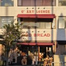 어드브레드 | 제주도 폭탄치즈올리브빵 ODD Bread 어드브레드 내돈내산 후기