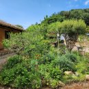 영월펜션 이미지