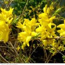 나드리까페 이미지