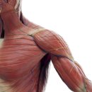 해머하우스 이미지