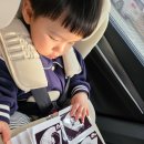 11650-16-12-14 | 12주 14주 16주 성별 각도법 아들에서 딸 반전 가능성은?