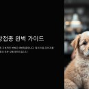 백신농장 | 강아지 예방접종 일정과 필수 백신 정리