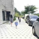 내를 건너서 숲으로 캠핑장 | 대구근교 캠핑장 청도 l 내를건너서숲으로 후기