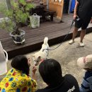 꼭지민박 이미지