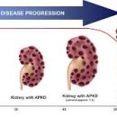 신의내과의원 이미지