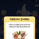 비기닝브런치