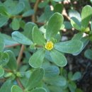 복만농장 이미지