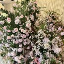 씨유상록은하수공원점 | 여의도 더파티움 당일계약 후기