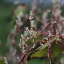 오작교농장 이미지