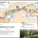 외씨버선길(영양연결구간) | [외씨버선길] 11길, 춘양목 솔향기 길 (20260109)