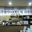 수림한방병원 Daum카페